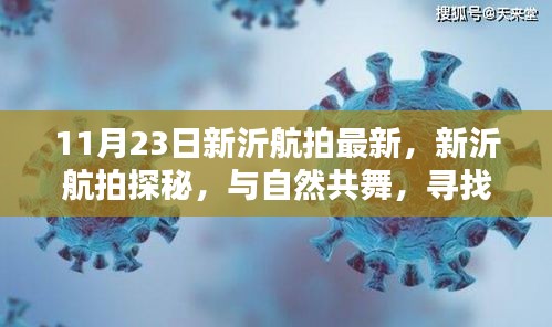 行业新闻 第488页