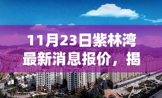 揭秘紫林湾小巷的独特风味，最新探店消息与报价（11月23日更新）