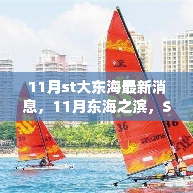11月st大东海最新消息，11月东海之滨，ST大东海扬帆起航，变化中的学习赋予我们自信与成就感的魔法