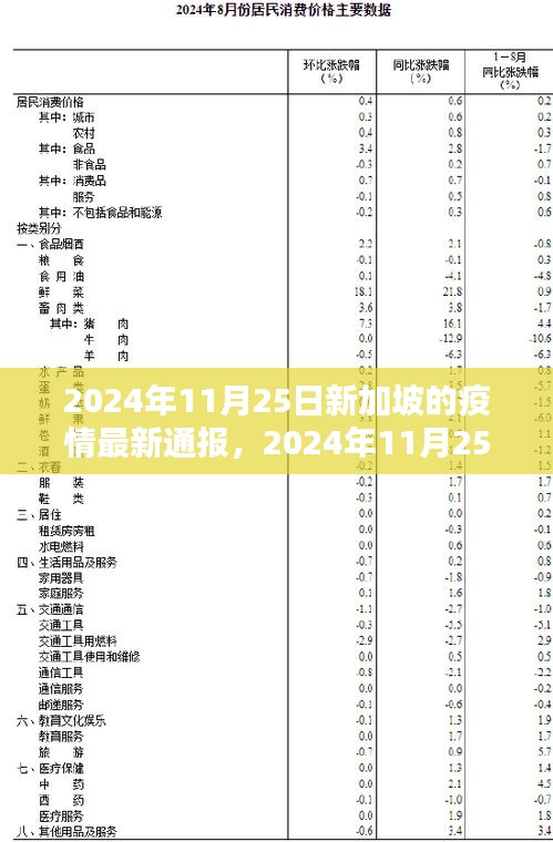 2024年11月25日新加坡疫情最新动态解析与通报