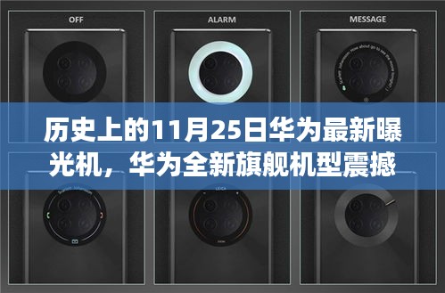 资格证书 第481页