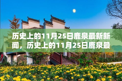 历史上的11月25日鹿泉新闻回顾，深度评测与详细介绍
