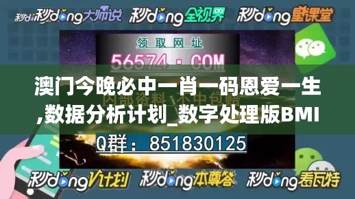 澳门今晚必中一肖一码恩爱一生,数据分析计划_数字处理版BMI9.40