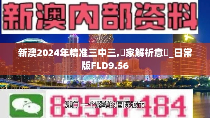 新澳2024年精准三中三,專家解析意見_日常版FLD9.56