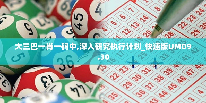 大三巴一肖一码中,深入研究执行计划_快速版UMD9.30