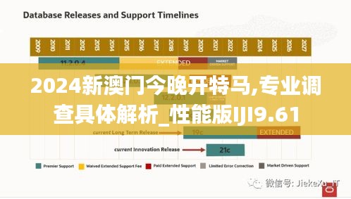 2024新澳门今晚开特马,专业调查具体解析_性能版IJI9.61