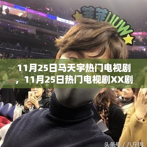11月25日热门电视剧XX剧观看指南，从入门到追星，马天宇剧全解析