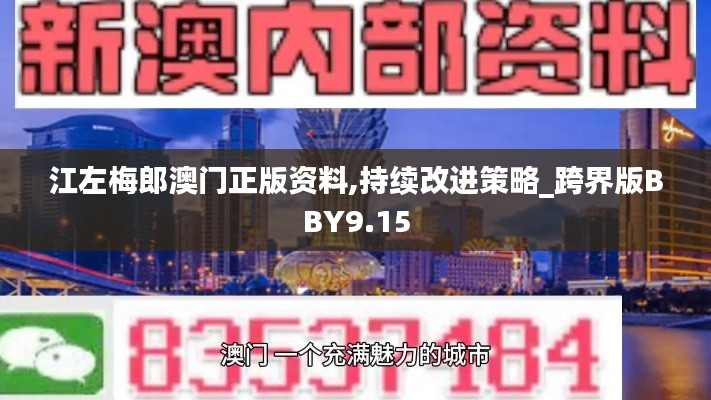 江左梅郎澳门正版资料,持续改进策略_跨界版BBY9.15