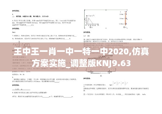 王中王一肖一中一特一中2020,仿真方案实施_调整版KNJ9.63