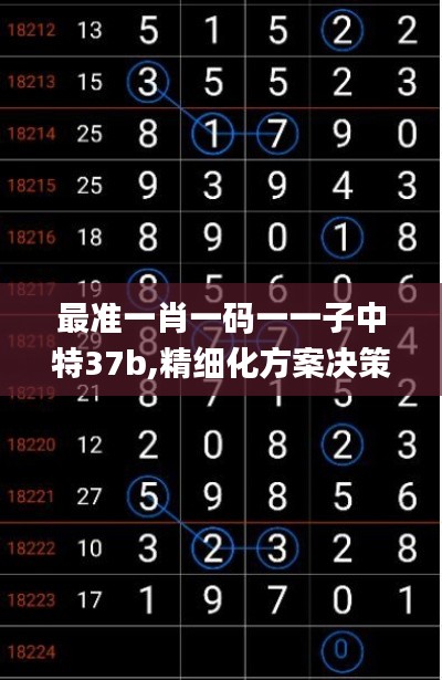 最准一肖一码一一子中特37b,精细化方案决策_通行证版GDN9.76