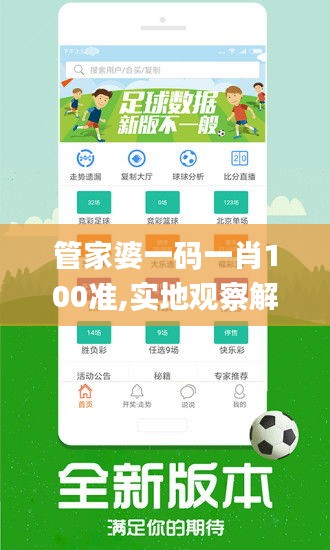 管家婆一码一肖100准,实地观察解释定义_奢华版ZJW9.92