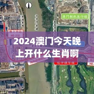2024澳门今天晚上开什么生肖啊,安全设计解析说明法_抗菌版ZRT9.59
