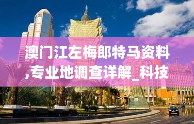 眼张失道 第6页