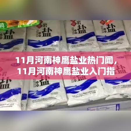河南神鹰盐业11月热点解读，入门指南与深化盐业知识之路
