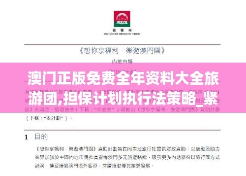 澳门正版免费全年资料大全旅游团,担保计划执行法策略_紧凑版TKD9.90