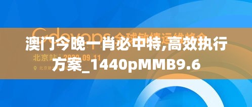 澳门今晚一肖必中特,高效执行方案_1440pMMB9.6