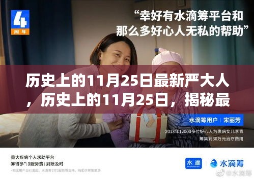 揭秘最新严大人，历史上的传奇人生回顾与探寻