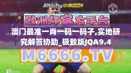 澳门最准一肖一码一码孑,实地研究解答协助_极致版JQA9.4