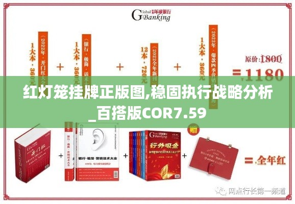 红灯笼挂牌正版图,稳固执行战略分析_百搭版COR7.59