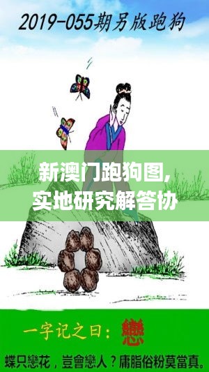 新澳门跑狗图,实地研究解答协助_私人版EPH7.87