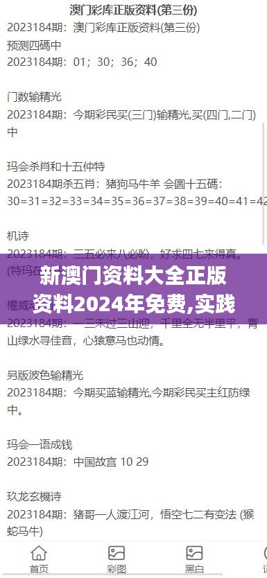 新澳门资料大全正版资料2024年免费,实践调查说明_丰富版BLR7.67
