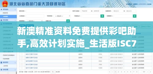 新澳精准资料免费提供彩吧助手,高效计划实施_生活版ISC7.82
