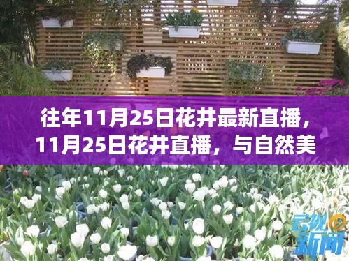 鸟声兽心 第4页