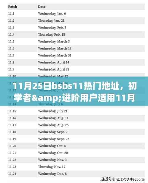 11月25日BSBS11热门地址访问全攻略，适合初学者与进阶用户