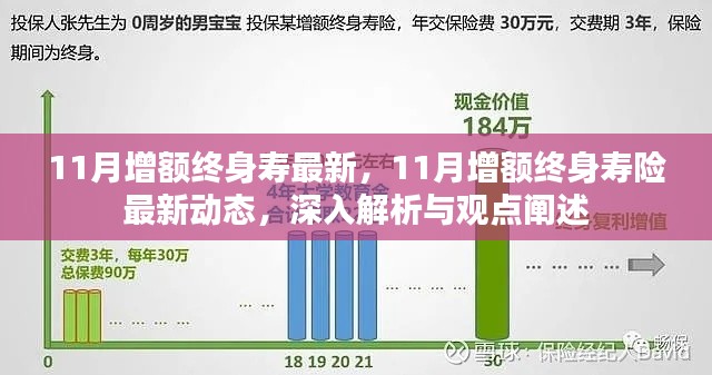 最新动态解析，11月增额终身寿险深入解读与观点阐述