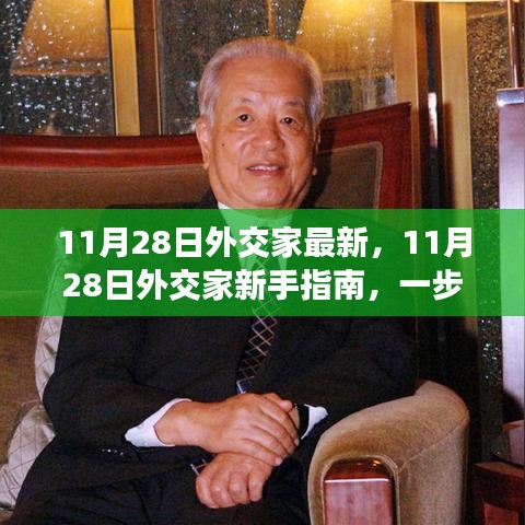 11月28日外交家新手指南与最新动态，掌握外交技能与知识的步骤