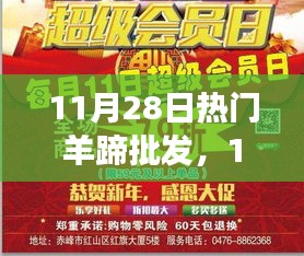 11月28日热门羊蹄批发，11月28日热门羊蹄批发背后的故事，变化、学习与自信的力量