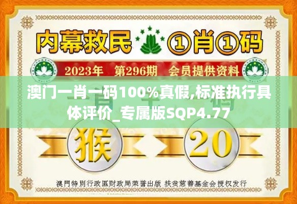 澳门一肖一码100%真假,标准执行具体评价_专属版SQP4.77