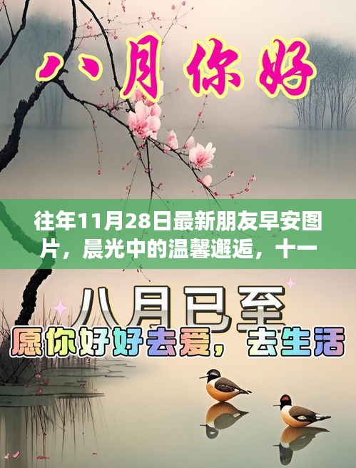 晨光中的温馨邂逅，十一月二十八日最新早安图片分享