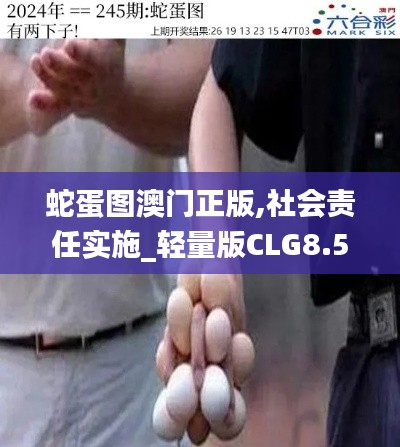 蛇蛋图澳门正版,社会责任实施_轻量版CLG8.53