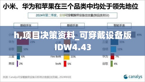 h,项目决策资料_可穿戴设备版IDW4.43