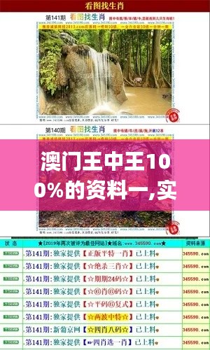 雍容典雅 第4页