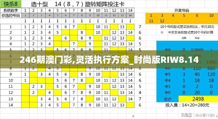 246期澳门彩,灵活执行方案_时尚版RIW8.14