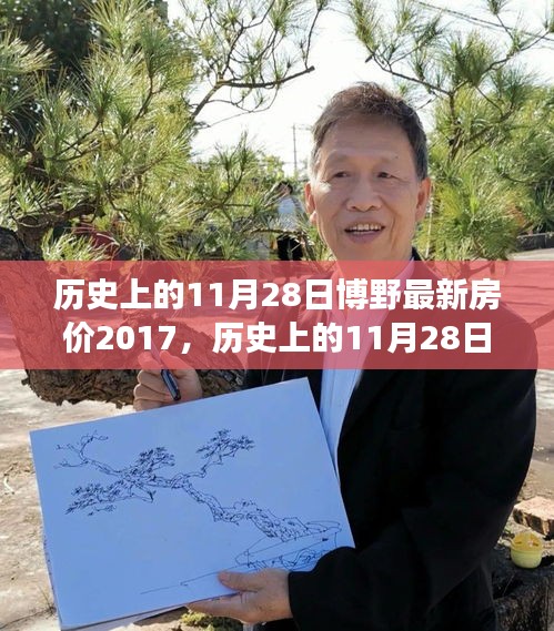 历史上的11月28日博野房价深度洞察，回顾2017年房价动态与趋势分析