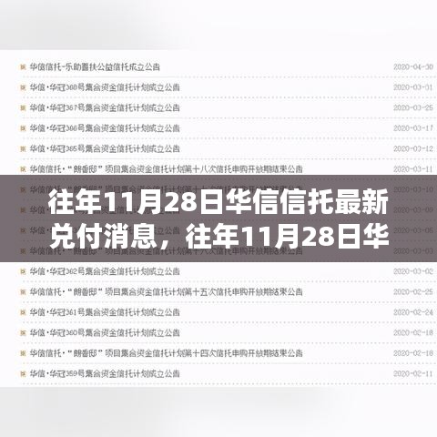 栖鸟于泉 第4页