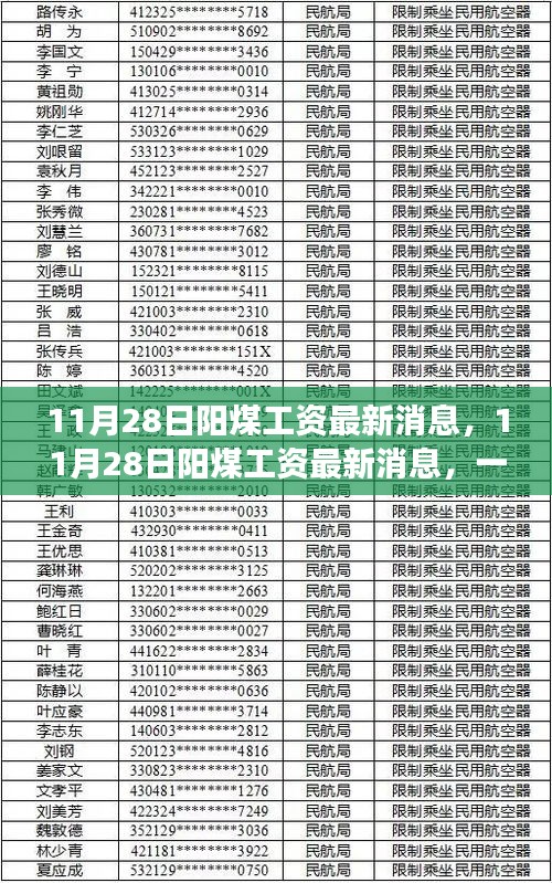 11月28日阳煤工资最新动态与心灵之旅，自然美景与内心宁静的追寻