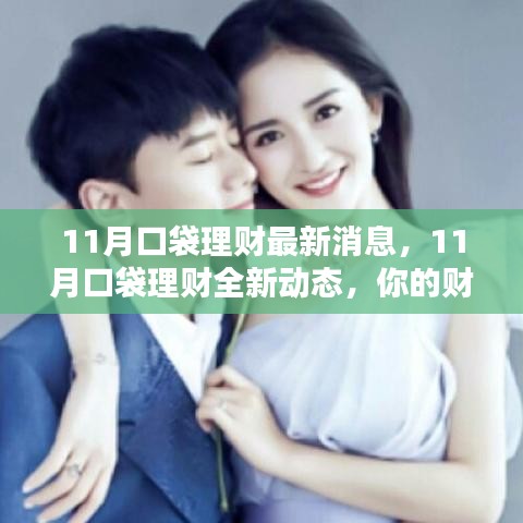 11月口袋理财全新动态及财富增值指南