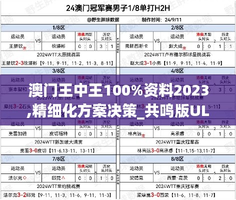 澳门王中王100%资料2023,精细化方案决策_共鸣版ULQ12.130