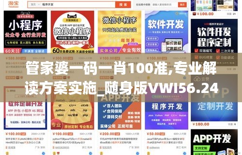 管家婆一码一肖100准,专业解读方案实施_随身版VWI56.248