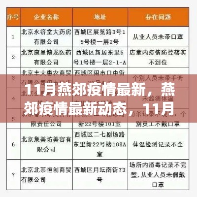 燕郊疫情最新动态，防控进展与未来展望（11月版）