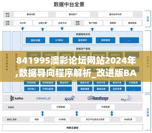 841995澳彩论坛网站2024年,数据导向程序解析_改进版BAU34.961