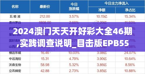 2024澳门天天开好彩大全46期,实践调查说明_目击版EPB55.257