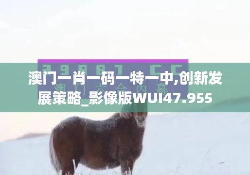 澳门一肖一码一特一中,创新发展策略_影像版WUI47.955