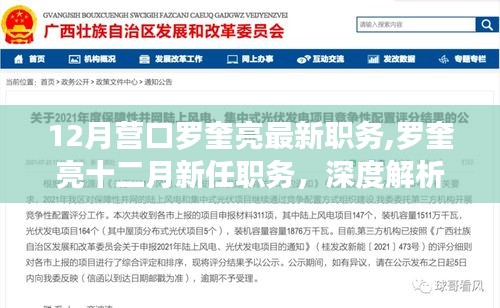 深度解析与观点碰撞，罗奎亮在营口的最新职务揭秘