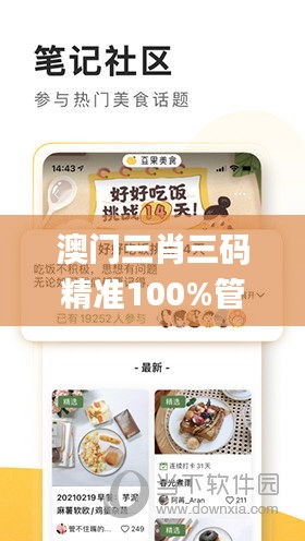 澳门三肖三码精准100%管家婆,灵活性策略解析_娱乐版82.707-8