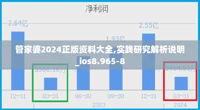 管家婆2024正版资料大全,实践研究解析说明_ios8.965-8